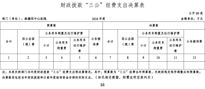 2024年承德市中心医院决算公开-17.png